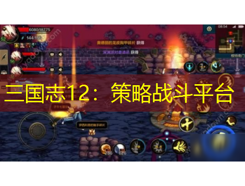三国志12：策略战斗平台