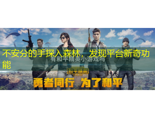 不安分的手探入森林，发现平台新奇功能