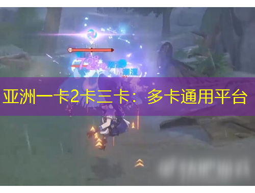 亚洲一卡2卡三卡：多卡通用平台