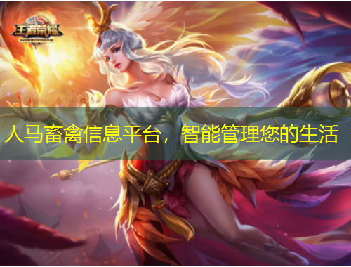 人马畜禽信息平台，智能管理您的生活