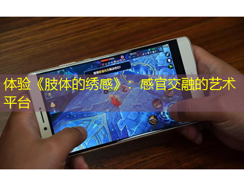 体验《肢体的绣感》：感官交融的艺术平台