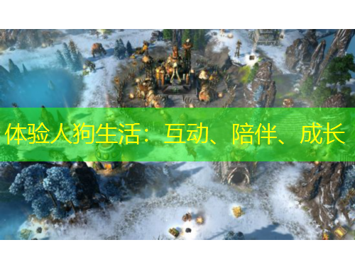 体验人狗生活：互动、陪伴、成长