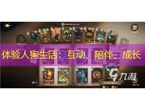 体验人狗生活：互动、陪伴、成长
