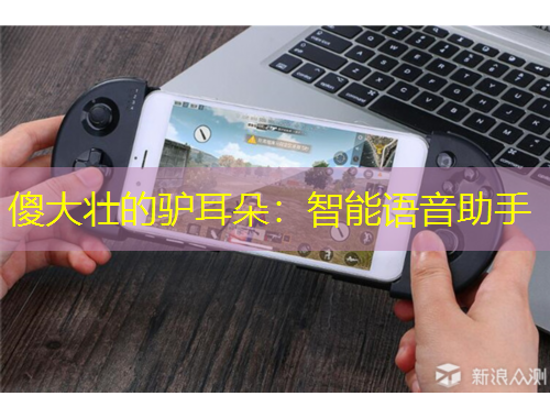 傻大壮的驴耳朵：智能语音助手