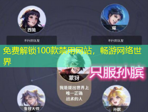 免费解锁100款禁用网站，畅游网络世界