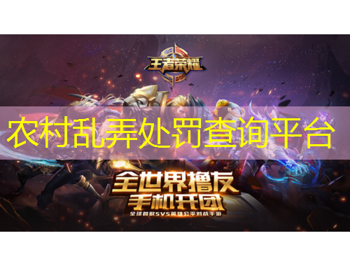 农村乱弄处罚查询平台