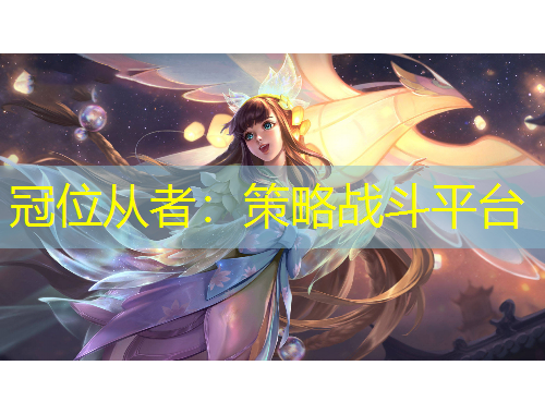 冠位从者：策略战斗平台