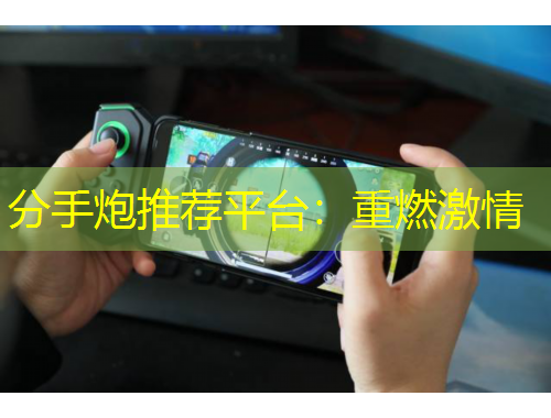 分手炮推荐平台：重燃激情