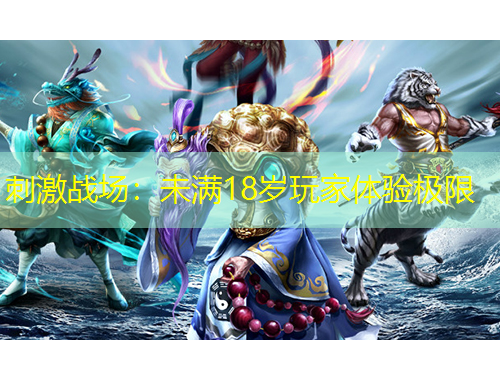 刺激战场：未满18岁玩家体验极限