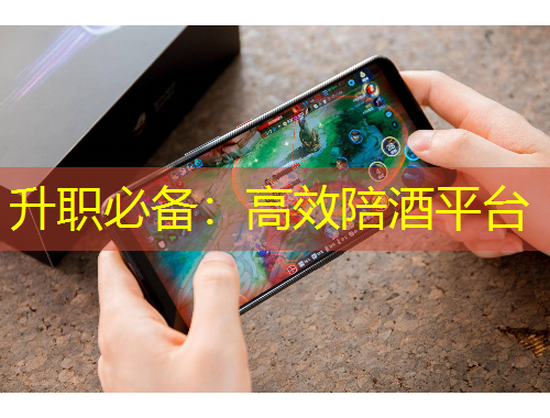 升职必备：高效陪酒平台