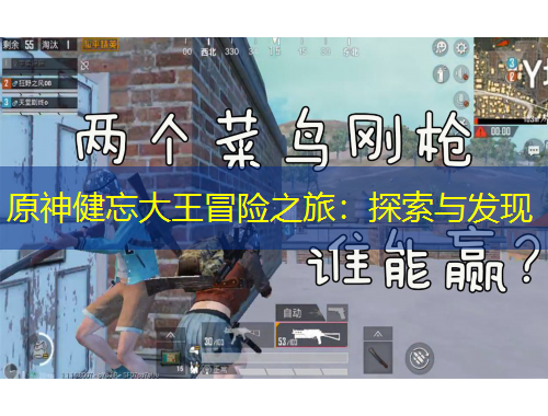 原神健忘大王冒险之旅：探索与发现