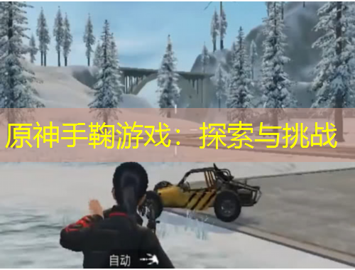 原神手鞠游戏：探索与挑战