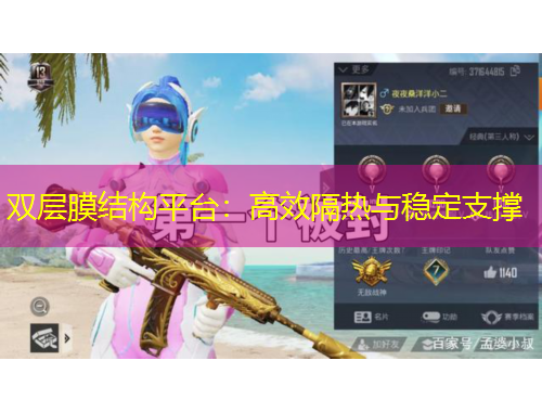 双层膜结构平台：高效隔热与稳定支撑