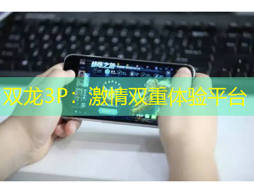双龙3P：激情双重体验平台