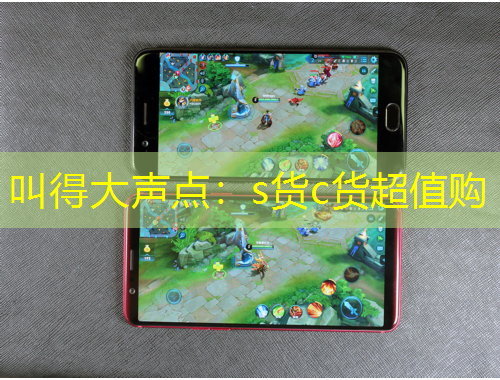 叫得大声点：s货c货超值购