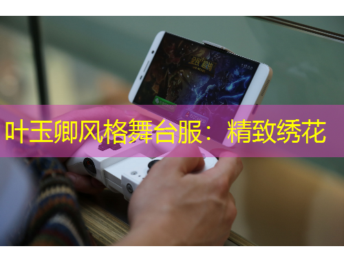 叶玉卿风格舞台服：精致绣花