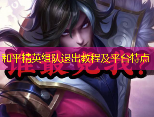 和平精英组队退出教程及平台特点