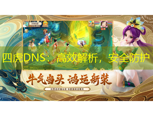 四虎DNS：高效解析，安全防护