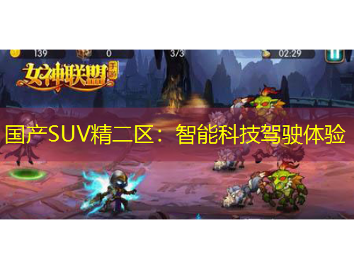 国产SUV精二区：智能科技驾驶体验