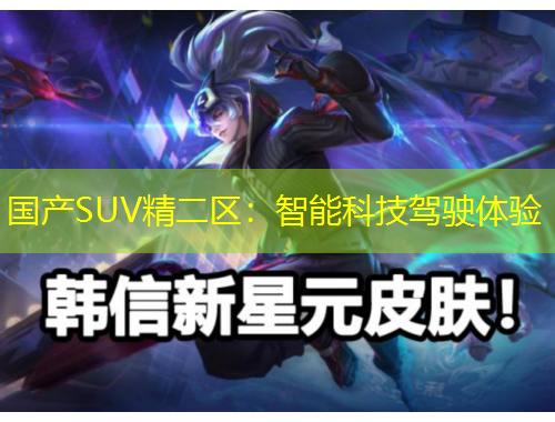 国产SUV精二区：智能科技驾驶体验