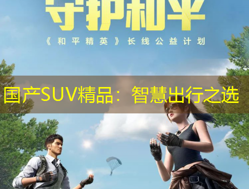 国产SUV精品：智慧出行之选
