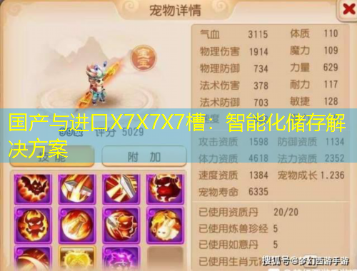 国产与进口X7X7X7槽：智能化储存解决方案