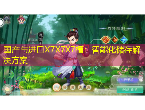 国产与进口X7X7X7槽：智能化储存解决方案