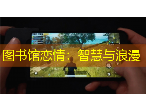 图书馆恋情：智慧与浪漫