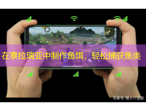 在泰拉瑞亚中制作鱼饵，轻松捕获鱼类