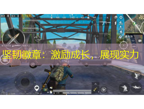 坚韧徽章：激励成长，展现实力