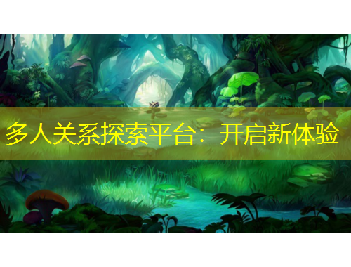 多人关系探索平台：开启新体验
