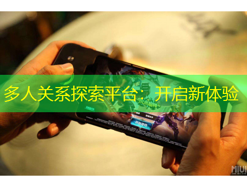 多人关系探索平台：开启新体验
