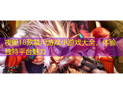 夜里18款禁用游戏小游戏大全，体验独特平台魅力