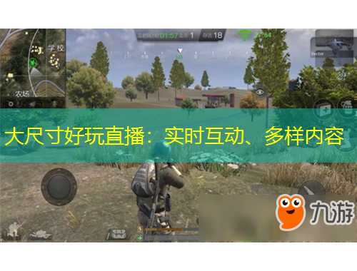 大尺寸好玩直播：实时互动、多样内容