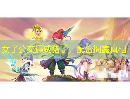 女子公交遇咸猪手，配合揭露真相