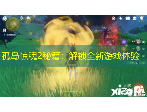 孤岛惊魂2秘籍:解锁全新游戏体验