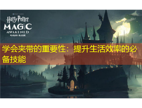 学会夹带的重要性：提升生活效率的必备技能