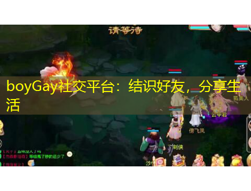 boyGay社交平台：结识好友，分享生活