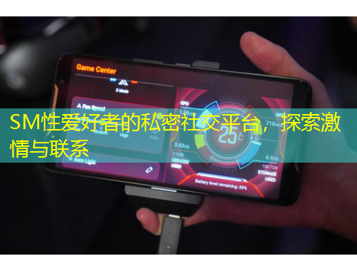 SM性爱好者的私密社交平台，探索激情与联系