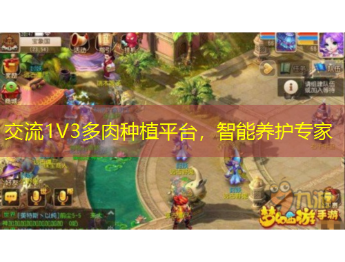 交流1V3多肉种植平台，智能养护专家