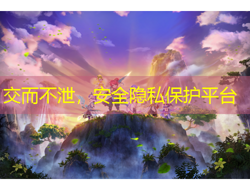交而不泄，安全隐私保护平台