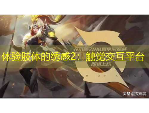 体验肢体的绣感2：触觉交互平台