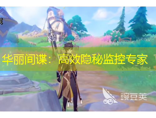 华丽间谍:高效隐秘监控专家