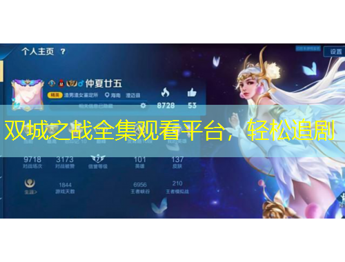 双城之战全集观看平台，轻松追剧