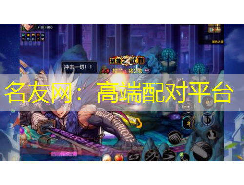 名友网：高端配对平台