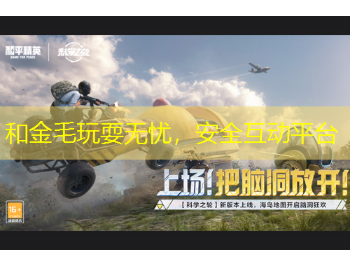 和金毛玩耍无忧,安全互动平台