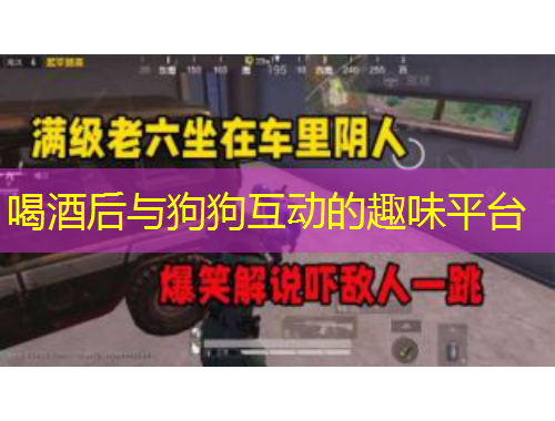 喝酒后与狗狗互动的趣味平台