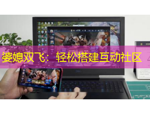 婆媳双飞：轻松搭建互动社区