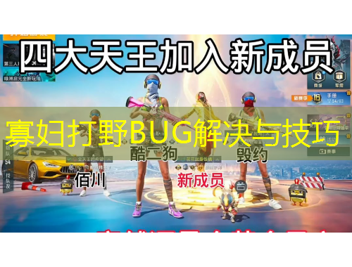寡妇打野BUG解决与技巧