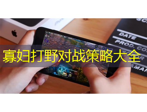 寡妇打野对战策略大全